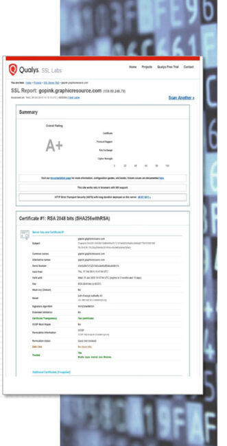 Cyber-security-raw-image-800-407